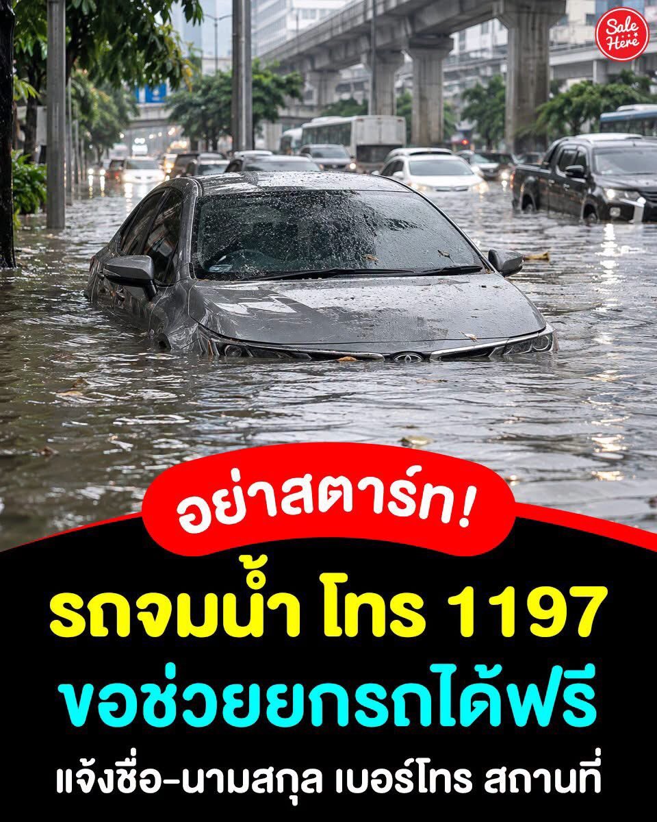 NunaxMx's tweet photo. อุตุฯ เตือนฝนรอบหน้า 5-8 ตค มีเวลาให้ปชช.เตรียมถุงยังชีพตัวเอง 1 อาทิตย์ สิ่งนั้นควรมีอะไรบ้าง 

1. น้ำดื่ม(ปริมาณมาก)
2. อาหารที่ไม่ต้องพึ่งตู้เย็น (เปิดกินง่าย / เก็บได้นาน /แบบสำเร้จ) อาหารแห้ง อาหารกระป๋อง นม ขนม 
3. ยาและชุดปฐมพยาบาล (​ยาประจำตัว , ​ยาลดไข้ / แก้ปวด ​ยาแก้ท้องเสีย ​พลาสเตอร์ ​ผ้าพันแผล ​น้ำยาฆ่าเชื้อ ​หน้ากากอนามัย ​ถุงมือใช้แล้วทิ้ง
4. อุปกรณ์ส่องสว่าง(กรณีไฟดับ)
ไฟฉาย ​ถ่านสำรอง ​PowerBank ​สายชาร์จ ​โคมไฟฉุกเฉิน ​วิทยุใช้ถ่าน พัดลมมือถือ/ตั้งโต๊ะ
5.ชาร์ทอุปกรณ์ไฟฟ้าให้พร้อม มือถือ Tablet iPad Notebook PowerBank
6. ของใช้จำเป้น ทิชชู่ ​ทิชชู่เปียก ​สบู่ ​ถุงขยะ ​ผ้าอนามัย ​ผ้าอ้อม อาหารสัตว์ เงินสด เสื้อผ้า โฟมแผ่น ลังโฟม กะละมัง
7. เอกสารสำคัญ (ใส่ซองกันน้ำ) บัตรประชาชน  
​ทะเบียนบ้าน ​เอกสารประกัน (ประกันชีวิต, ประกันสุขภาพ, ประกันอัคคีภัย) ​เอกสารรถ (เล่มทะเบียนรถ, พ.ร.บ., ใบขับขี่)  
8. อุปกรณ์กันน้ำเข้าบ้านต่างๆเพจ Global house รวบรวมไว้ให้หมดแล้ว ฉากกั้นน้ำ เรือ บลาๆ
9. เตรียมที่จอดรถสำรอง เบอร์รถราก-รถยกฟรี (โทร.1197) เบอร์ติดต่อฉุกเฉิน

#น้ำท่วม