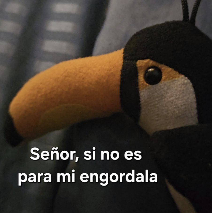 Rosamex1cano's tweet photo. https://t.co/EkyZPxfzQs
