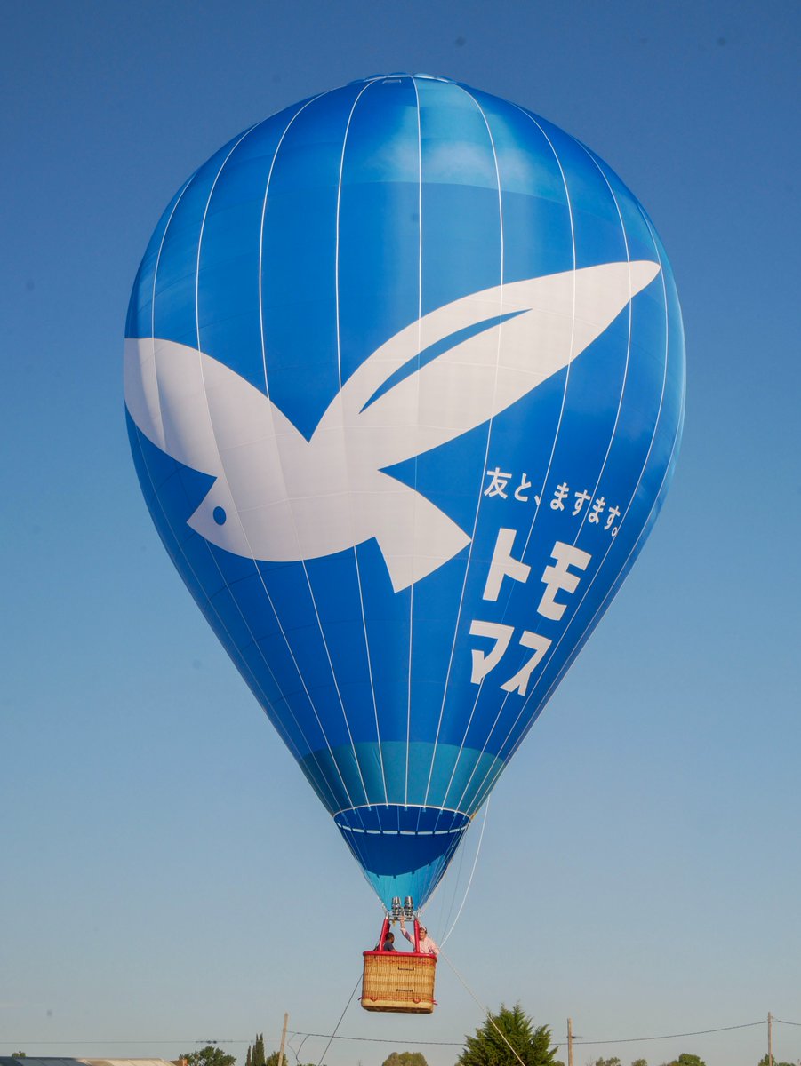 tomomasudrink's tweet photo. 【お知らせ📢】当社の想いとブランドシンボルを表現した熱気球「トモマス スワン号」を製作しました。
佐賀を拠点に活動する熱気球チーム「翔草(とぶくさ)」様とパートナーシップを締結。日頃のフライト活動および競技大会への出場をサポートしてまいります。
詳細はこちら👉https://t.co/bsgTSEij6s https://t.co/uIMz9tWM4x