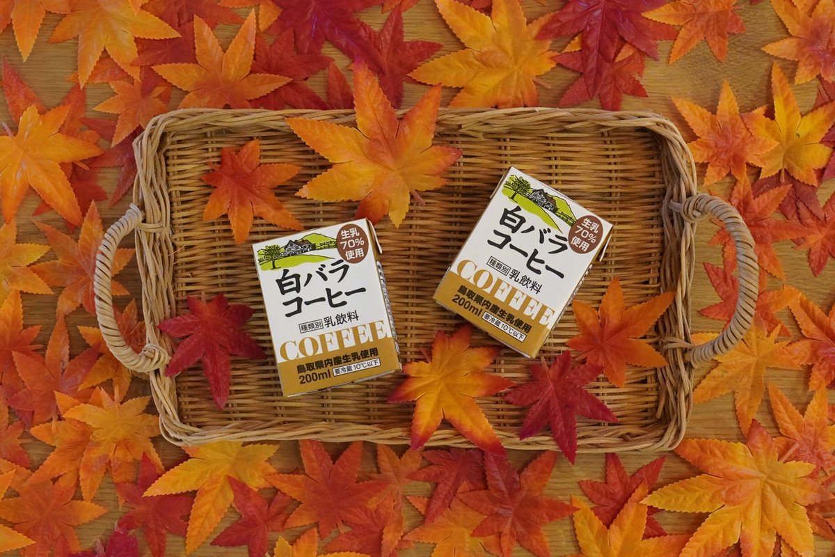 daisen_nyugyo's tweet photo. 10/1は #コーヒーの日
鳥取県産生乳を70％使用した「白バラコーヒー」☕
今日はみんなで乾杯🌟 https://t.co/G7hKmP78jQ