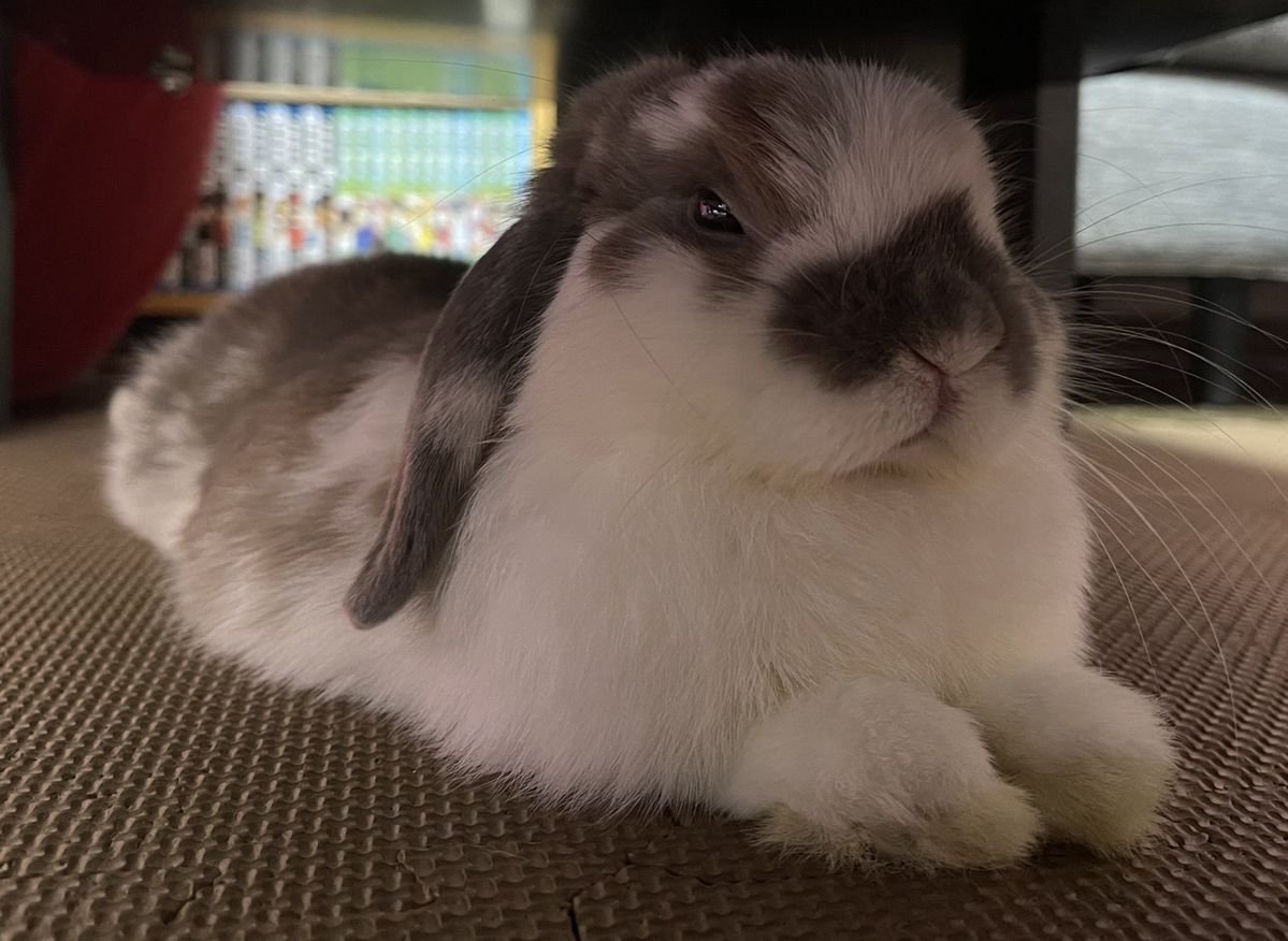 ashyaywoohoo's tweet photo. shes like the sphinx in egypt if you know what im talking about https://t.co/eAhCo9rksq