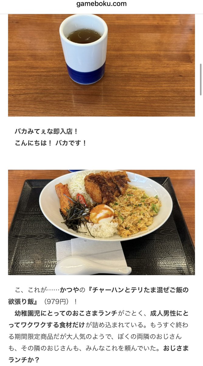 gamebokusan's tweet photo. かつや最新 バカみてぇなランチ https://t.co/QVBcXyFJjC