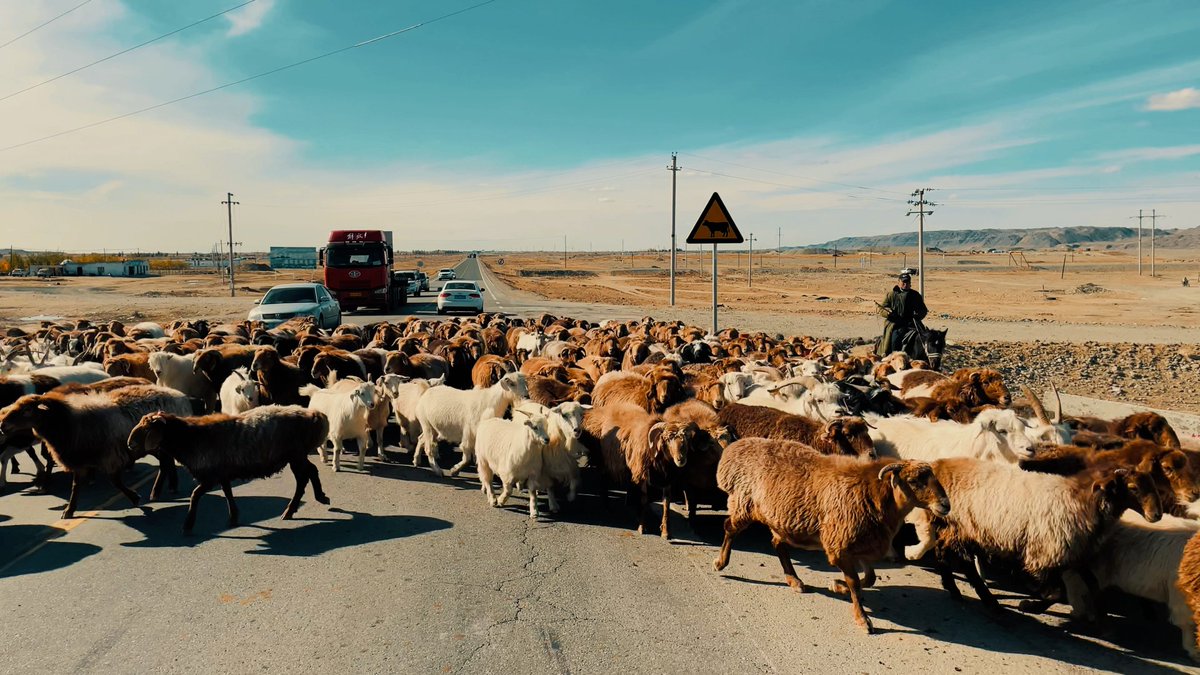 joant_node1_851's tweet photo. A new office building is here! The shepherd guiding the flock, extra electric cars, and the pressure to hit this month’s goal—all part of today’s hustle. https://t.co/95DiseNa21