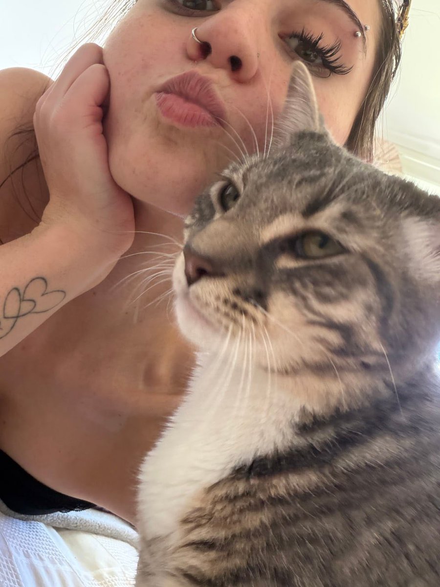 softtyy01's tweet photo. one of us is innocent… guess which one 🐾 https://t.co/ESpwNmJc1W