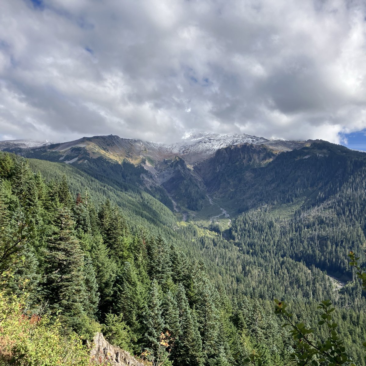 TSKPDX's tweet photo. Mt. Hood hike. Some fall colors and mushrooms. https://t.co/otFiSNyks9