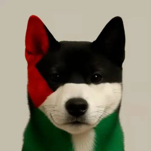 sheluvsblnkr's tweet photo. We have sent literally every inu imagineable

yet we have never sent an inu that is going to a good cause

whats happening right now in gaza has consistently been the most talked about topic worldwide for the last year

yet we have never had a runner that actually helps the people in gaza

introducing
palestinu

the first inu thats here to help

100% of fees donated to the children of gaza