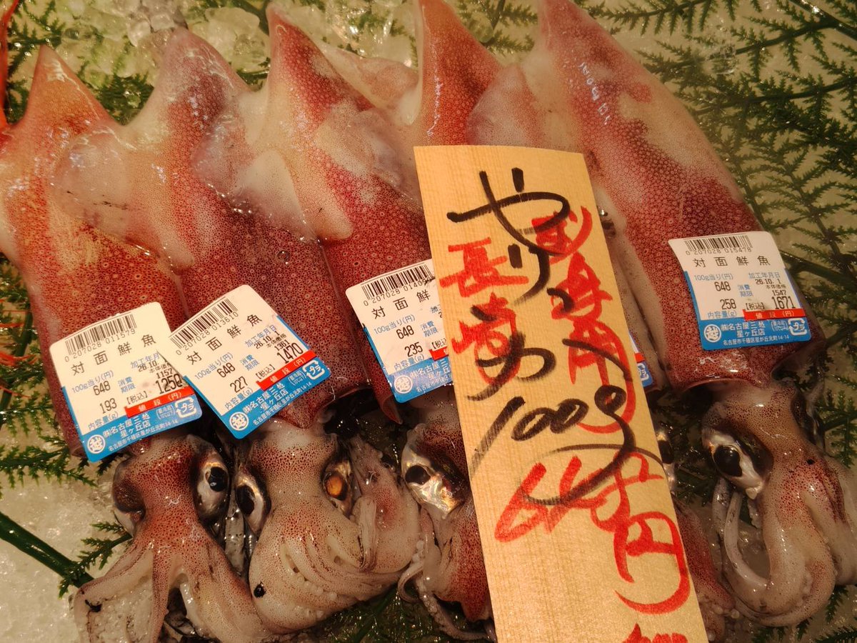 UochuHandyman's tweet photo. 名古屋三越星ヶ丘店B1魚忠

副店長イチオシはなんとイカ二種！

どちらも大人気の
ヤリイカとアオリイカ

対面コーナー、仕上げは魚眼レンズ・カズさん！

本日も魚は魚忠
お買い物は三越で。 https://t.co/weTNBgWeqt