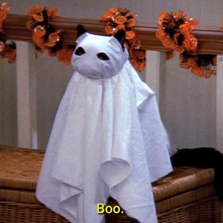 KarmaIsACat_5's tweet photo. Otros el 1 de octubre // Yo hoy 1 de octubre https://t.co/V23wQmKuyX