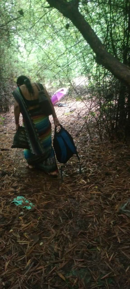 Dhamohiren's tweet photo. Jungle me mangal karne https://t.co/8WacJsybwV