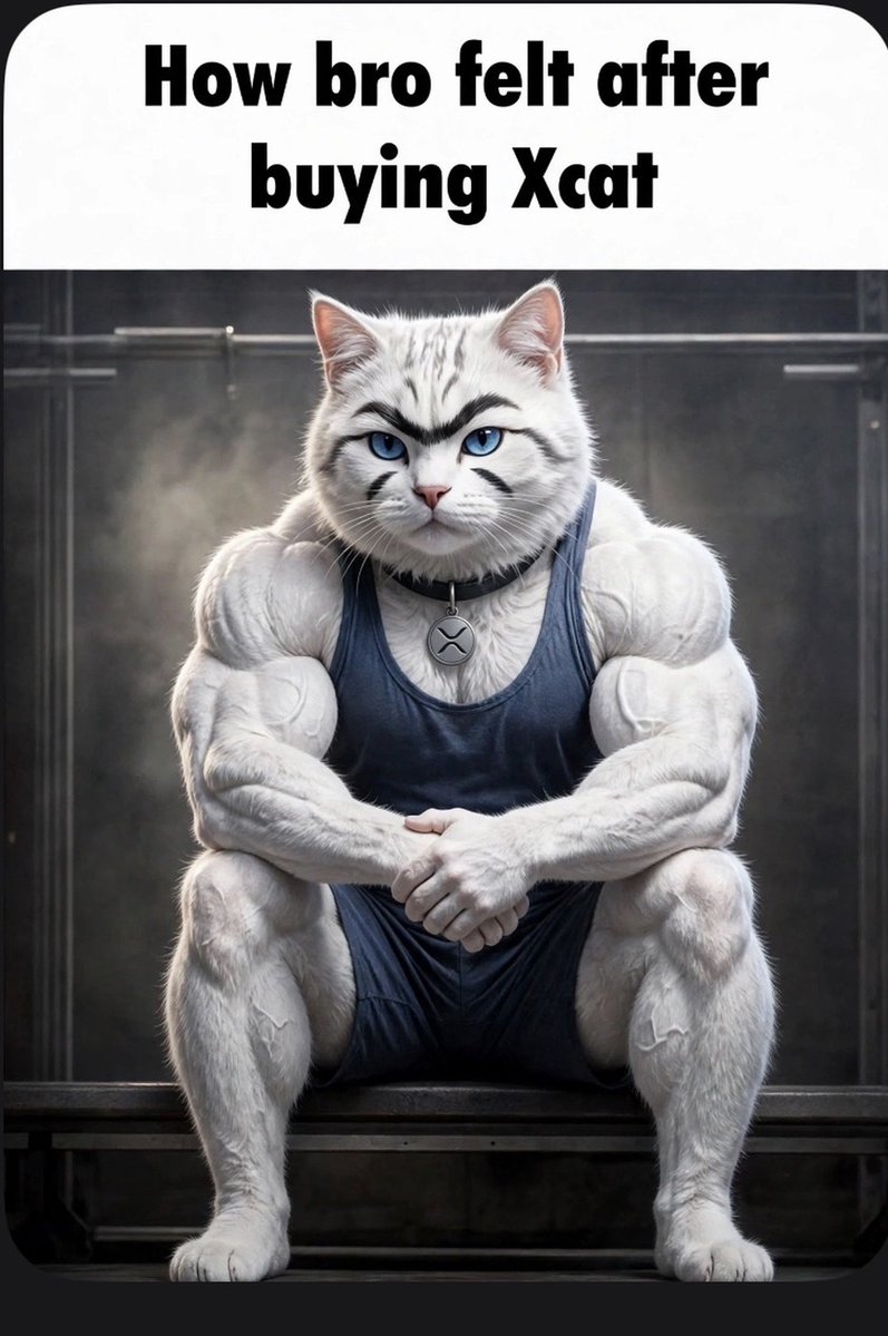 XRPCatSolana's tweet photo. @The__Solstice $XCAT paired to xrp on stonkfun https://t.co/WJ1ndV8M6a