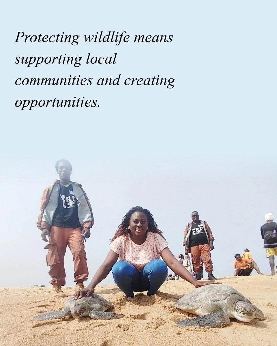 SEEturtles's tweet photo. Meet Judith, a Sea Turtle Community Leader in Togo!

Judith works with young people in the fishing village of Bè to protect their environment and sea turtles. She’s also a founding member of E.R.D. Afrique.

Learn more ⤵️
https://t.co/bgccyKDIAN https://t.co/CbG34G9lF7