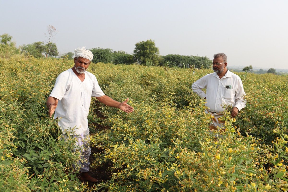 icarindia's tweet photo. Karnataka’s GI-tagged Kalaburagi Tur Dal has reached Maldives, marking a milestone from regional identity to global markets, backed by farmers and KVK Kalaburagi.
#ICAR #KVK @ChouhanShivraj @AgriGoI @PIB_India https://t.co/9cyuUcKsAg