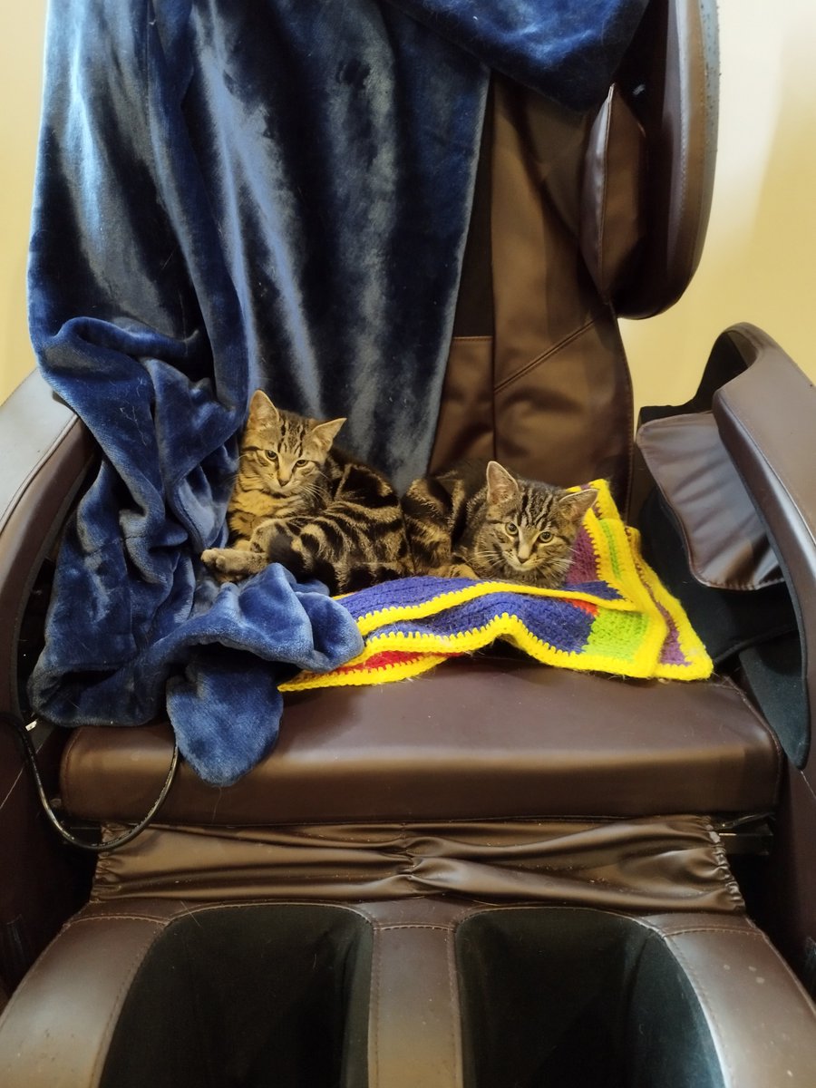 scruffkit's tweet photo. #ThrowbackThursday itty bitty baby men
💛Chip and Dale💛 https://t.co/oQRxt0iZx0