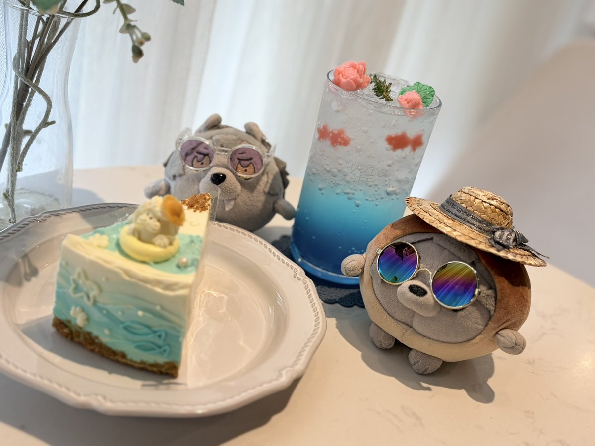 round_buku's tweet photo. 夏が終わりましたが特にこの夏を満喫してるように見えたのは🍞だったと思います https://t.co/ygSd0AOOCq