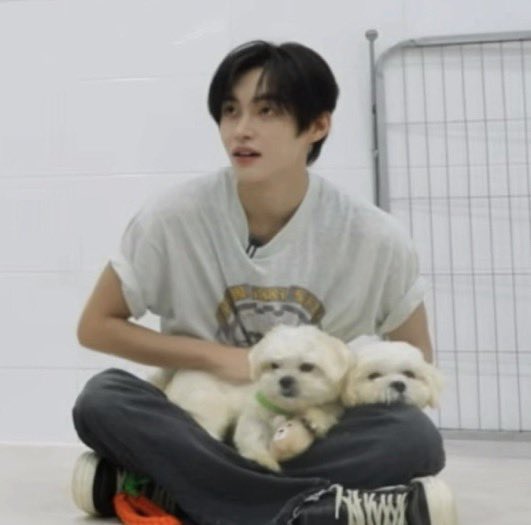 honddobab's tweet photo. 상태 : 이코 https://t.co/tP1w0AivED