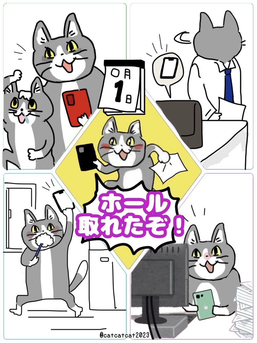 catcatcat2023's tweet photo. 「1日」の風物詩。 https://t.co/ywKfrqDcxf