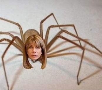 mutante321's tweet photo. @ximerincon @PresidenteKast 🟣La araña @ximerincon y @PresidenteKast ... 🕷️🕸️🪰🗳️📉
Cc: @GobiernodeChile / @MinEnergia 
#Ultraderecha #iliberalismo
#oclocracia 
#WallMapu #Temuco #Chile https://t.co/eDMrlj3YiS