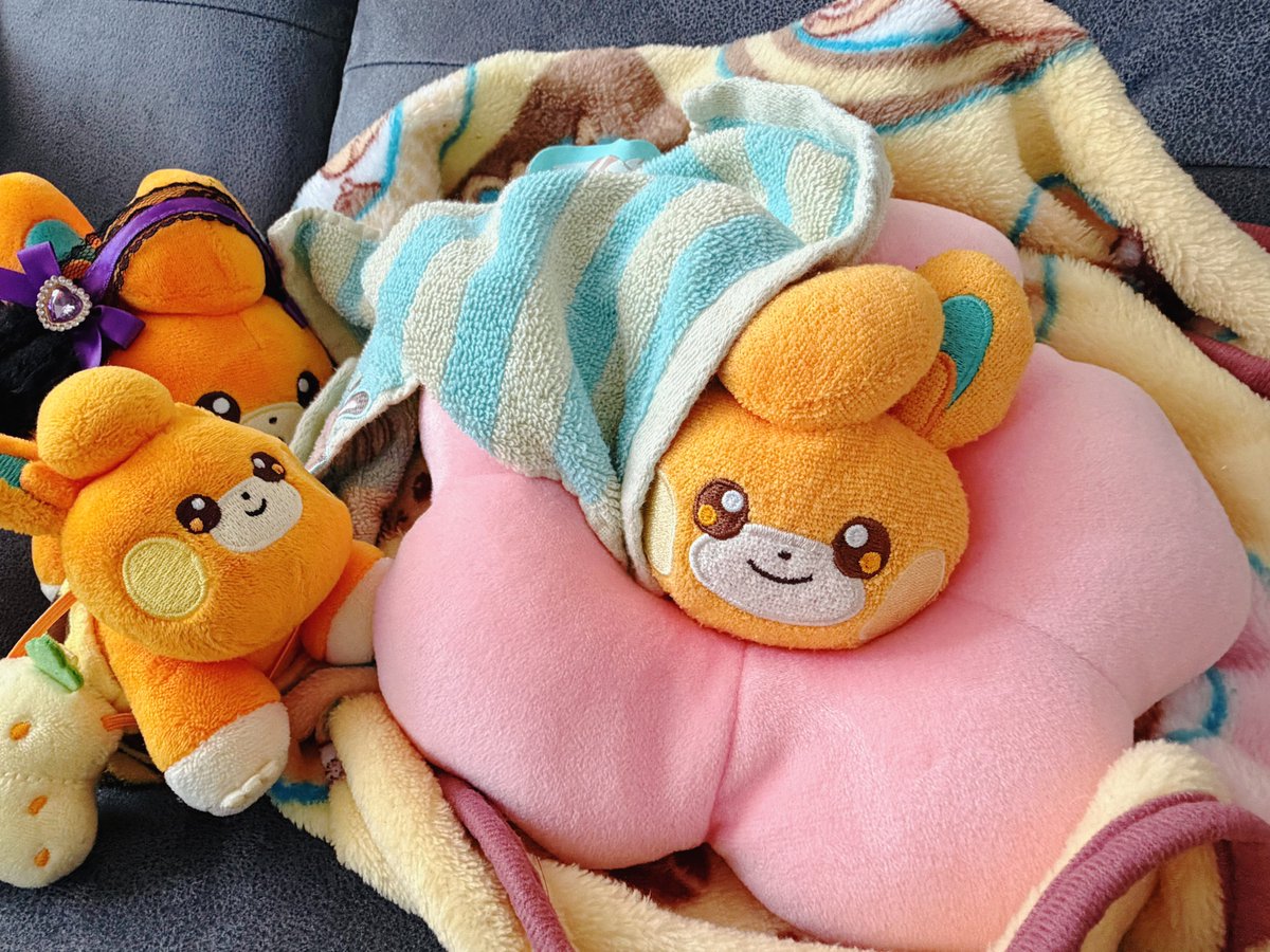 MochiPamosan's tweet photo. みっちり https://t.co/k24d96accj