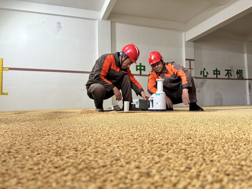 kayha_nguy__072's tweet photo. When grain supply slows down, researchers ensure the gear of market operations stays well-oiled. https://t.co/wQgdJm4Z3j