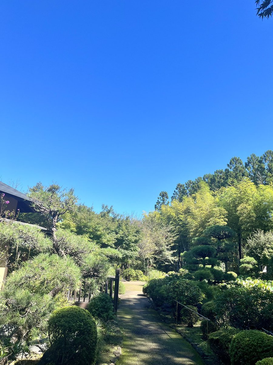 you0330's tweet photo. 晴天が嬉しすぎて散歩 https://t.co/nWtCp1JcC9