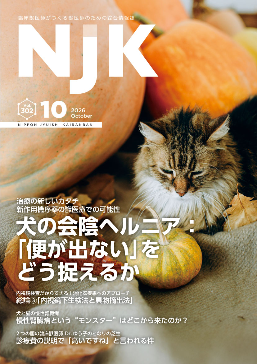 NJKVETS's tweet photo. 最新号2026年10月号（10/1発行）内容続き
「キャッシュフローの考え方（黒字でも資金が厳しくなる理由とは？）」河野富彦先生
「診療費の説明で「高いですね」と言われる件」西山ゆう子先生
「シミドの気管挿管アップデート２」清水邦一先生・宏子先生
#獣医師 #獣医療
https://t.co/vRO0fZQS1t https://t.co/d9wo4DTOEz