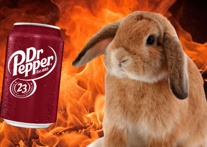 Snailington_'s tweet photo. my life is like this 👇🐇🔥🥤 https://t.co/g4tHtklwoJ