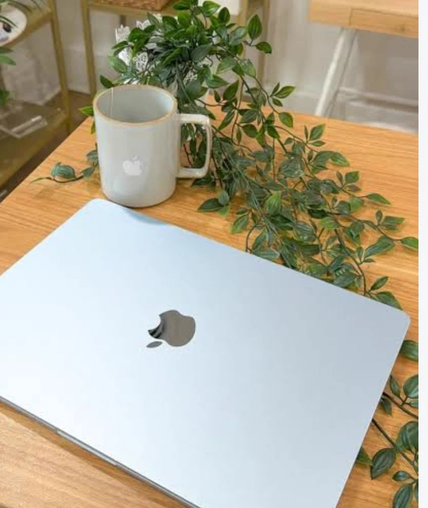 LotusGrow on X: "Morning office mode: ON. ☀️💻 Check emails. 📩 Start the ...