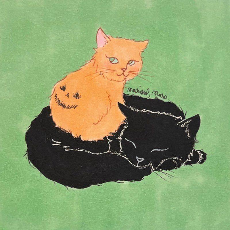 marisolmuro_'s tweet photo. Everyone starts as just a smol cutie round punkin 🧡 https://t.co/nt8bszy5rO