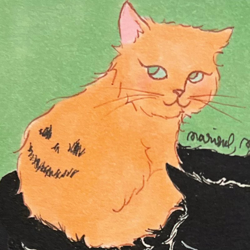marisolmuro_'s tweet photo. Everyone starts as just a smol cutie round punkin 🧡 https://t.co/nt8bszy5rO