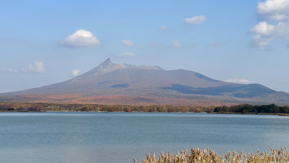 North_ern2's tweet photo. 北海道駒ヶ岳が1640年大噴火で発生させた山体崩壊どれだけヤバかったかというと、それまで駒ヶ岳は富士山と同じ形で標高は推定1700mあった。それが噴火で山の上半分が消し飛んで1100mの今の形になった。600m分の「山だったもの」が火砕流となって麓や海へ一気に流れ込んだ。…考えるだに恐ろしい。
この山体崩壊で発生した溶出物と岩石の濁流は山の南から東にかけて大きな被害をもたらし、南側では折戸川が堰き止められて今の駒ヶ岳山麓に広がる大沼や小沼などの湖沼群ができた。東側では鹿部の出来澗崎など火砕流が海に到達して新たな岬が作られ、また海に流れ込んだ火砕流は津波をも発生させ、渡島半島から十勝にまで被害をもたらした。特に噴火湾対岸の有珠周辺では7.5mほどの津波が起きてアイヌ700名が犠牲になった。
昭和4年の大噴火ではここまでの被害は幸いにも発生しなかったが、山麓では大量の火山噴出物の影響で函館へ電力を供給していた大沼発電所が使用不能になったほか、多数の人的、家屋被害をもたらした。
こんなやつ次に噴火したら…しかも行儀が悪い火山だし…って考えてしまうのも当然な存在なので、マジで勘弁してください。いつまでも綺麗な君でいてください（地元の民）