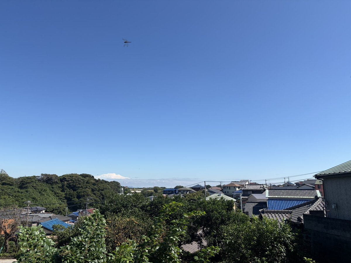 yukilogue's tweet photo. この写真では1匹しか見えないけど、夥しい数のトンボが飛んでる。 https://t.co/s9dLjwe4zr