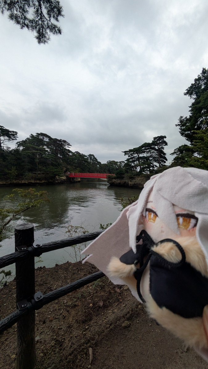 kumanotee's tweet photo. ぬぬい https://t.co/fgxkR6lZ8k