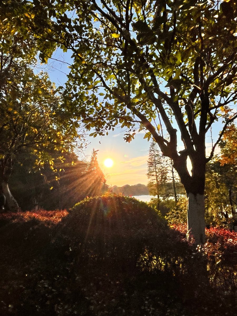 kys53815708's tweet photo. [Woke up with my 偕郎抠乒土 today—sun’s out, vibes so good!]， https://t.co/XOGZguthML