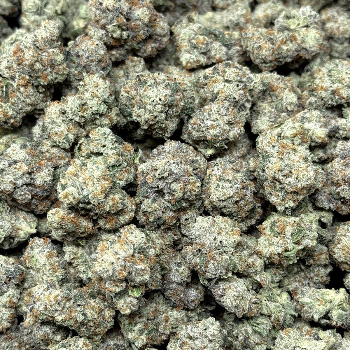 caliplug_distro's tweet photo. STRAIN: Cool Whip 🌿
TYPE: BIGZ 📦 
PRICE: $950💰

👀 Bag Appeal: 10/10
📏 Nug Size: 8/10 
🧱Structure: 8/10
👃Nose: 9/10
💧Freshness: 9/10
✂️Trim/Cleanliness: 9/10
🌀Breakdown: 9/10
👅 Taste/Smoothness: 9/10
🔥Burn/Ash: 10/10

TOTAL: 90/100 🏆 

AVAILABLE
@Caliplug_distro📍 https://t.co/3DFZdgxWc1