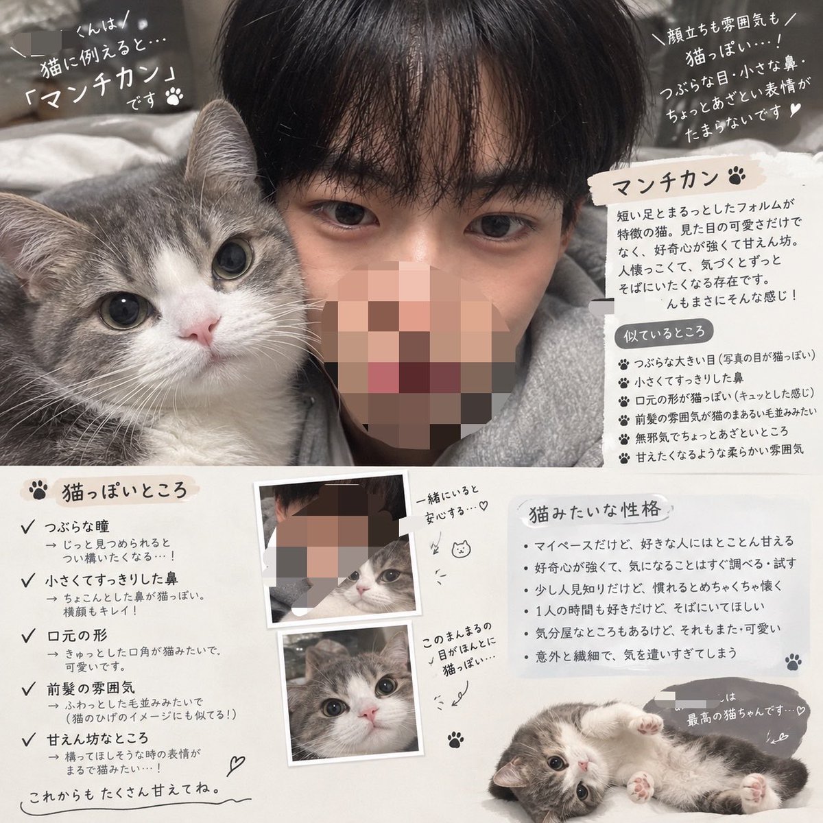 huggin_000's tweet photo. もう猫として生きる https://t.co/M5AGCpYET6
