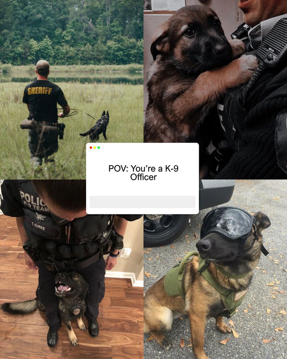 GLFOP's tweet photo. For the plot, the paperwork, and everything in between.

POV: Law enforcement edition. Part 3.

Photos sourced from Pinterest. Original photographers/sources could not be verified. Used for informational purposes.

#LawEnforcement #Police #PoliceOfficer #POV #FOP https://t.co/X855QZvTAR