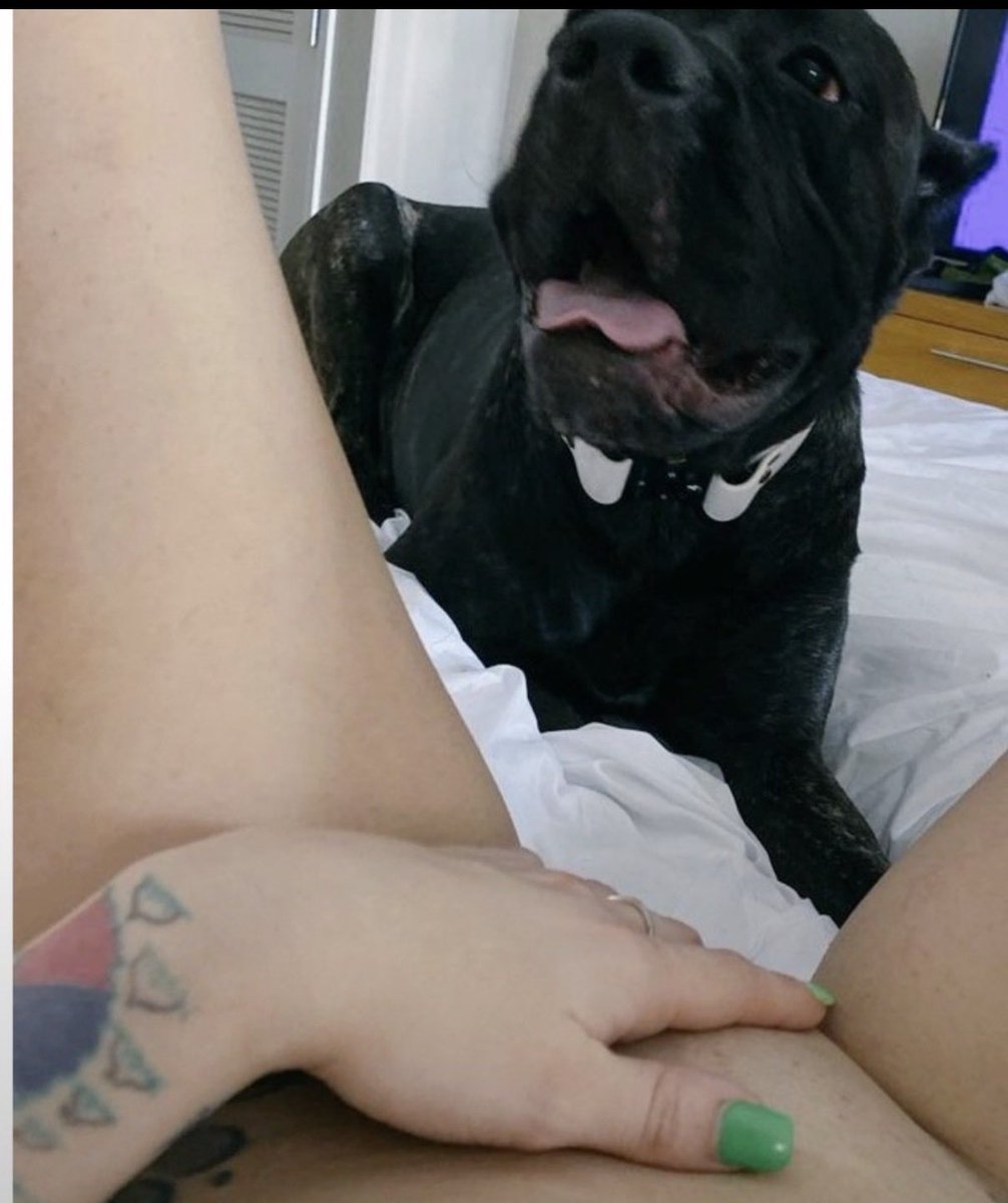 Cupcake3vzb's tweet photo. Feeling curious?
%: My newest dog
knotting content is waiting for you. DM me on Telegram and ask for the prices.
Certified k9 lover »
Captivating &amp; untamed
Dropping exclusive videos you can't shake
DM for menu https://t.co/YOUJ9a6EKO https://t.co/cFxjfxV39X