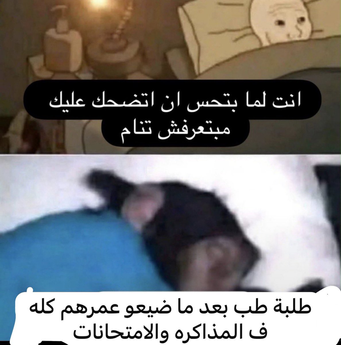 a7med_elsayed95's tweet photo. https://t.co/reQ3lJIuzi