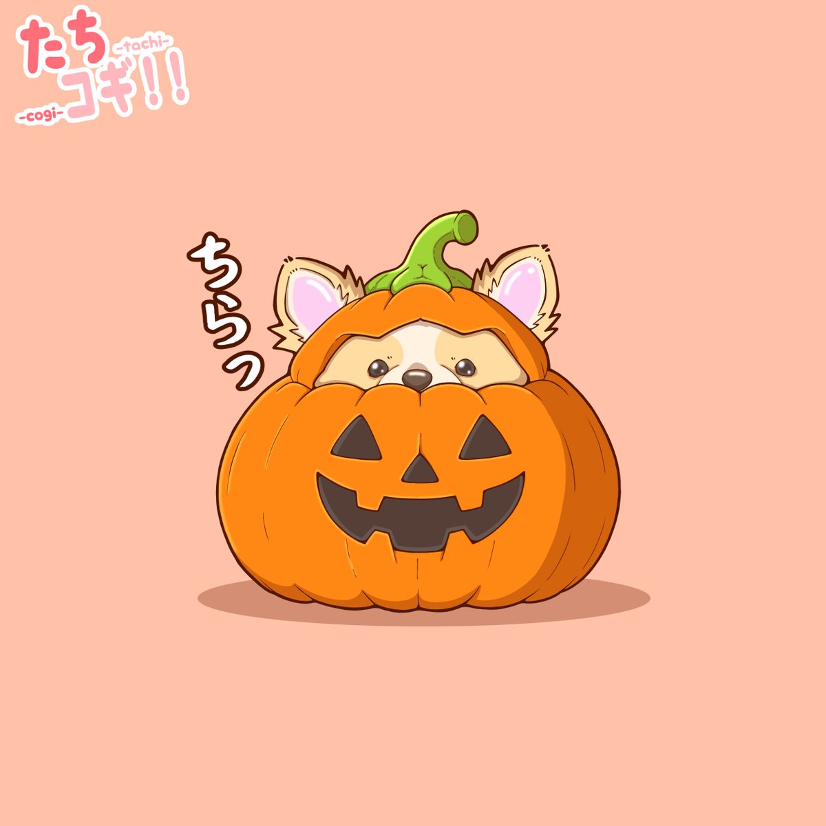 HoneycombTrick's tweet photo. ちらりーヌ🐶🎃✨
#たちコギ #コーギー #イラスト https://t.co/gpDLP00RVO