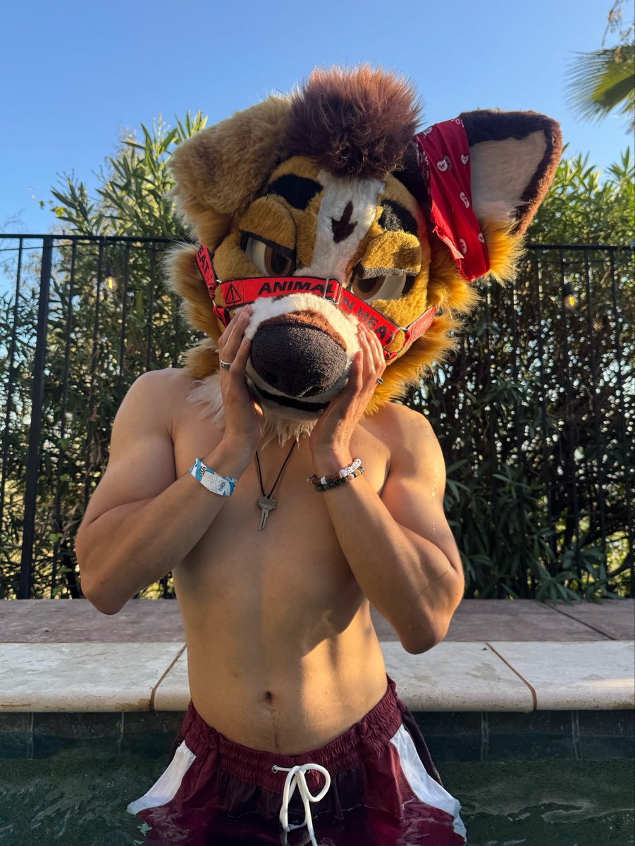 collienamedjay's tweet photo. The pool was cold 😥 https://t.co/qiQp4E4Rpn