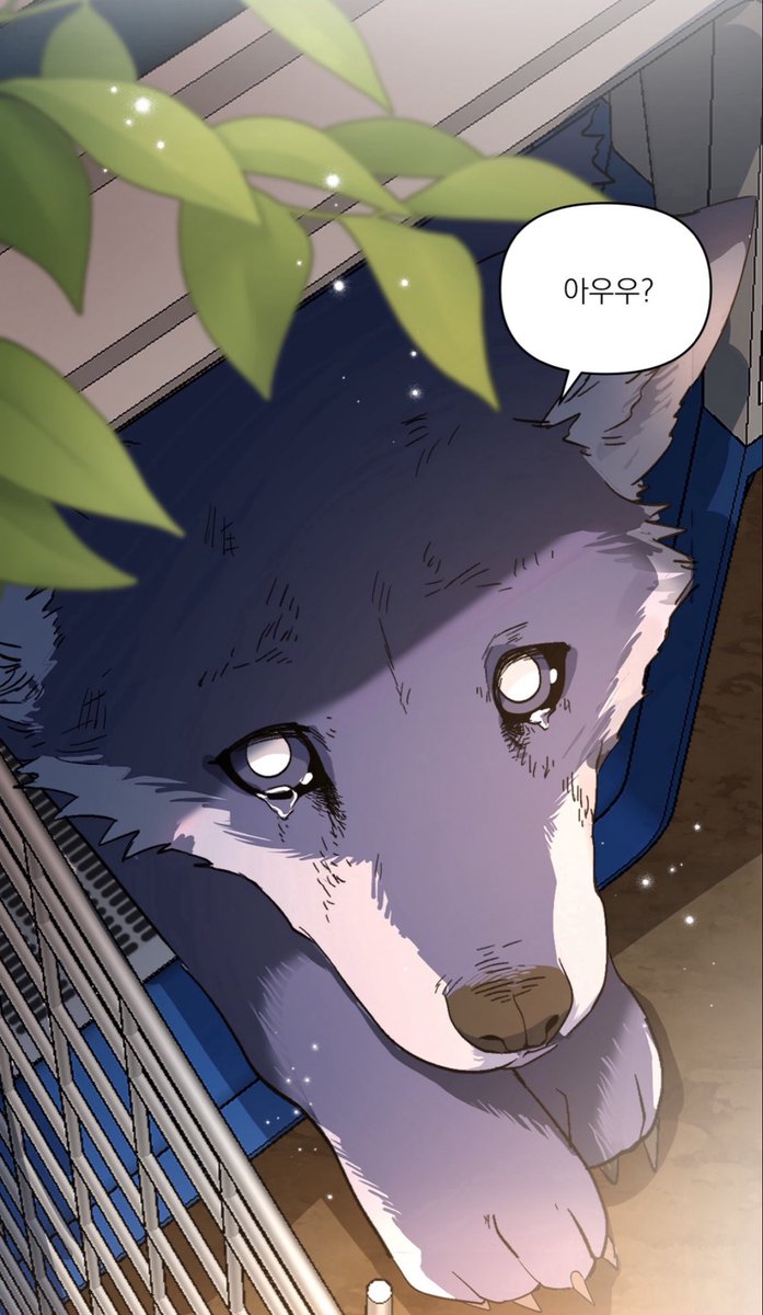 bl_macho's tweet photo. 아니 어떠케 이런 따랑스런 아기를 버릴수가 있지? 당신은 싸이코패스입니다 https://t.co/LE4wqeXsai