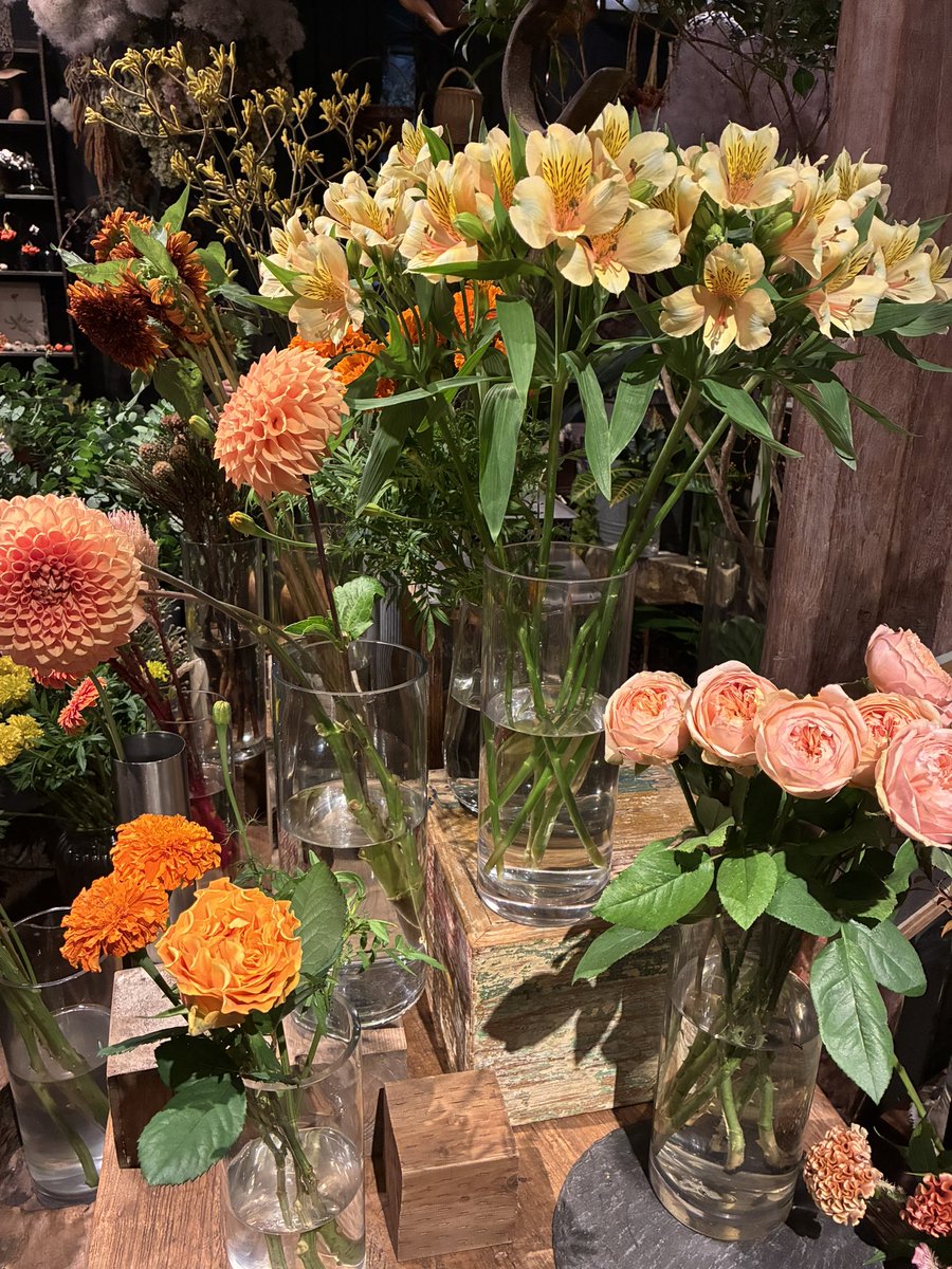 harawata_zaurus's tweet photo. 花屋に行きました
めちゃくちゃ花が好きで部屋に飾ったりするんですけど印象と違うと言われがち、何故 https://t.co/45ws2kzI9M