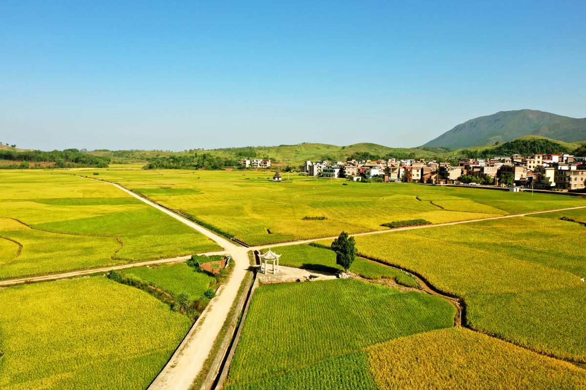 ronaldlowe63's tweet photo. [Weiren County] is a small but charming place hidden in the heart of China, with unique scenery and warm local folks~ https://t.co/Oljnzs3dpw
