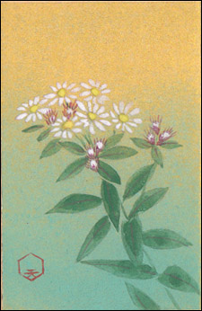 tanjyouka's tweet photo. １０月１日の誕生花

【野紺菊／のこんぎく】
花言葉：路傍を飾る：

野菊のひとつです。園芸種は、色の濃いものが好まれているようですが、そもそも淡色が多く、紫色に変化するものもあります。秋に咲く野生菊のことを総称して言う事もあるんです。道ばたにさりげない秋を演出してくれます。 https://t.co/b9w5nCw3tT