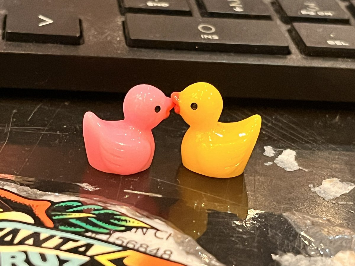gatodawg's tweet photo. Little ducky kisses https://t.co/k69Bi4MpMg