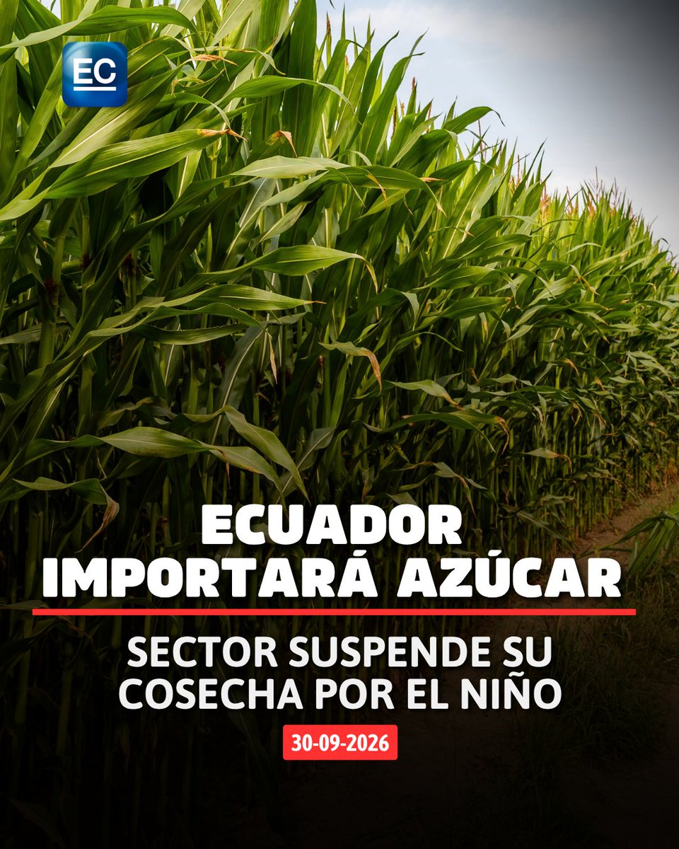 elcomerciocom's tweet photo. 👉https://t.co/52ysVAabk1 El sector azucarero de Ecuador no logró cosechar ni la mitad de lo previsto para esta zafra debido a las lluvias. https://t.co/xrKwv12VXA