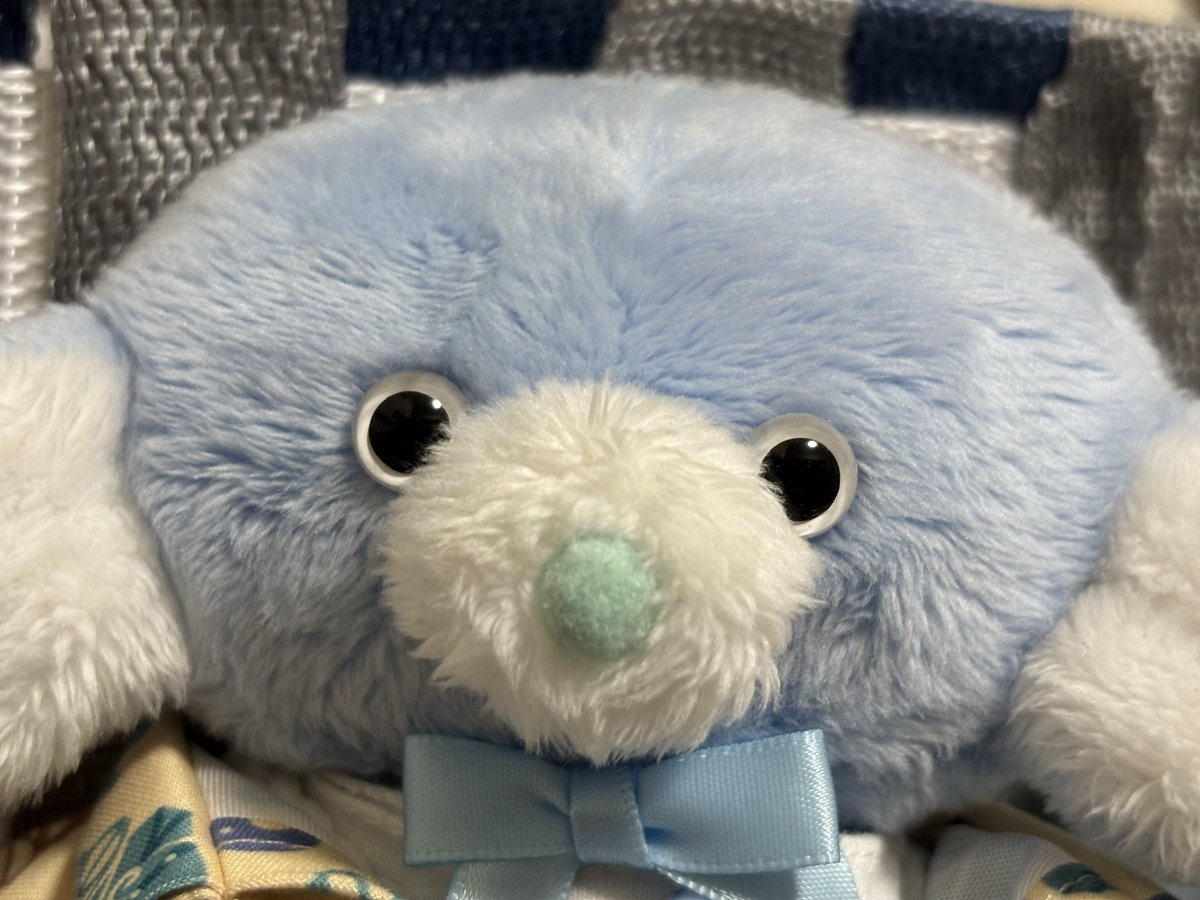 sgo731012's tweet photo. ｢あーあ…あの祠壊しちゃったんだ…キミ、〇ぬよ｣ https://t.co/kGerFcR9T0