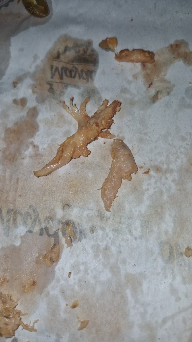 perynaz's tweet photo. maydonoz doner CİG TAVUK gonderiyor.
cig tavuk yeterince bakteri icermiyormus gibi pismis birkac parcayla beraber donerin geri kalanını cig gonderdiler. zehirlenip kustugumda hesabini nasil vereceksiniz ? donerin hepsi boyle sadece bu parca degil. https://t.co/V7EyCHlFFn