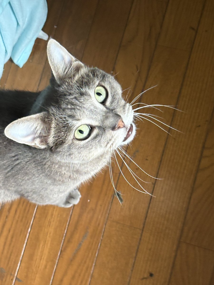 sstori's tweet photo. おはよ https://t.co/zi0pUWs6VB