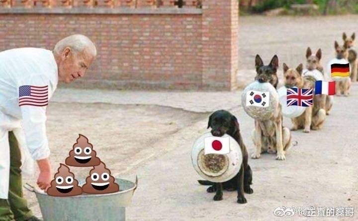 ivan241227's tweet photo. @Q8IkrFxulG13184 @DavidRomeroMX91 @kinglinzhuhui 倭畜去吃💩 https://t.co/8P9BkPZJGV